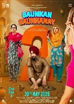 Saunkan Saunkne 2 (Punjabi)